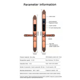 L&G Luxury Antique Smart Door Lock S612 – Fingerprint, Passcode, and App-Enabled